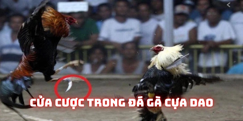 Những hình thức vào tiền bạn nên biết